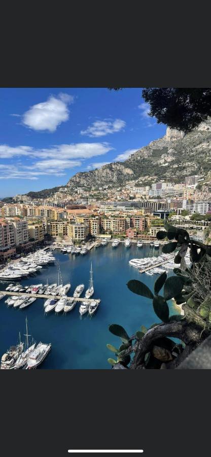 Superbe 2P Vue Mer, Ensoleille, Piscine Roquebrune-Cap-Martin Exterior foto